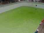 Como tratar uma piscina com água verde?