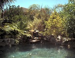 Piscina-lago: para quem quer uma piscina natural